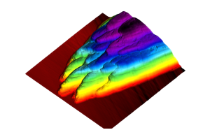 Biology-and-Life-Science