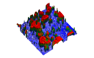 nGauge AFM Application 적용 분야