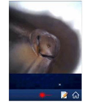 pega_con_img2