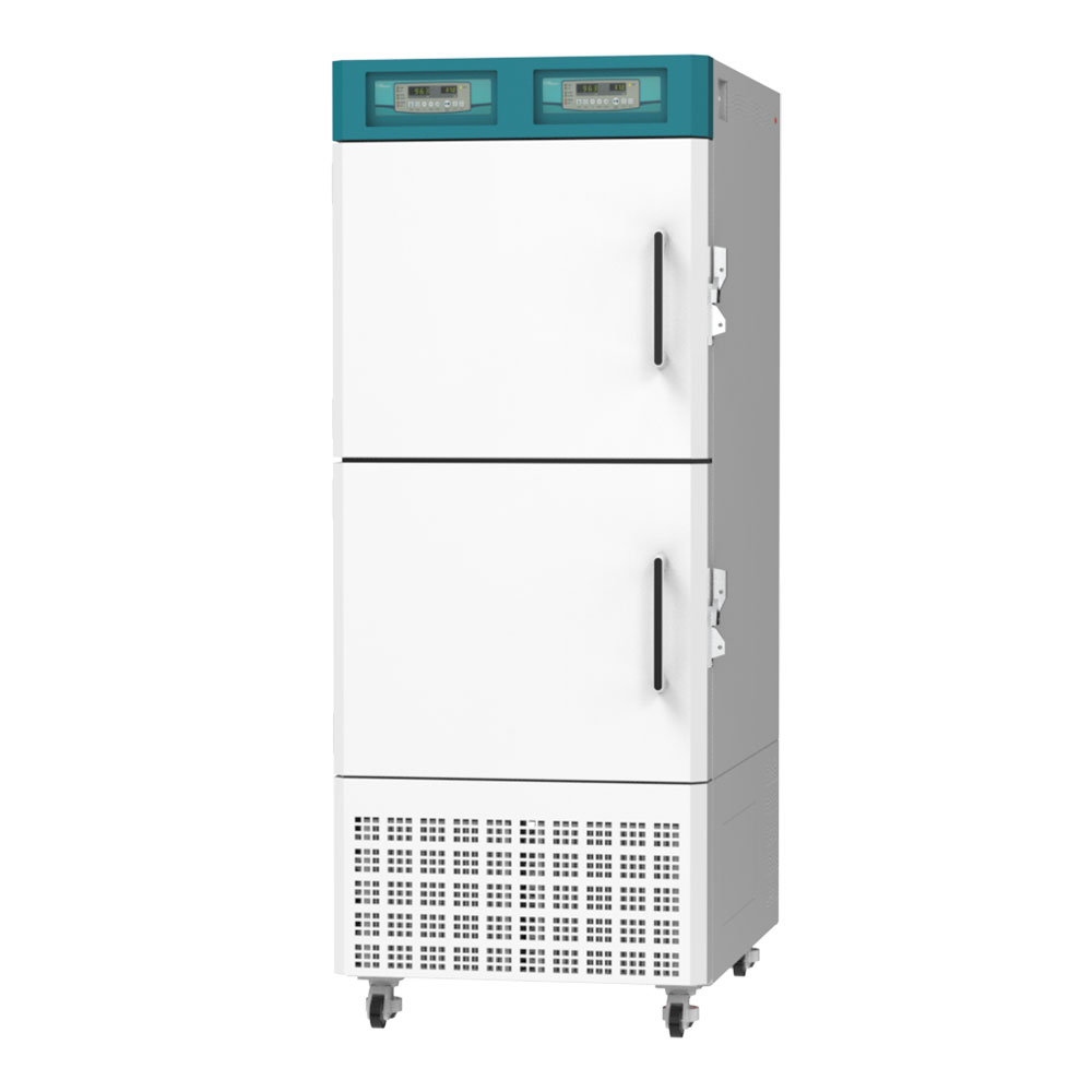 2040483842_To9evP8Z_lch-11-2c2C11g-2c