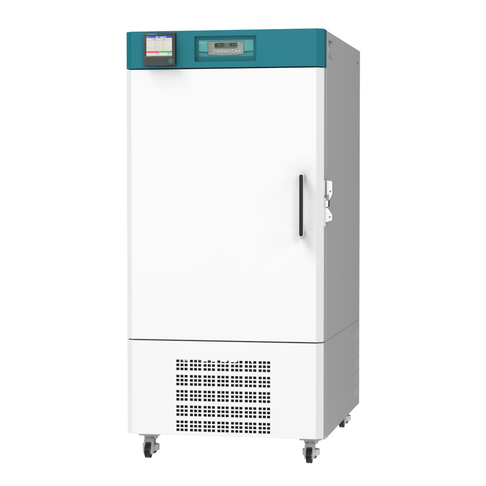 2040483842_qwhl0QLX_lch-312C31g