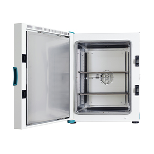 2040483842_vTHCYXcM_OF4_C1A4B8E92