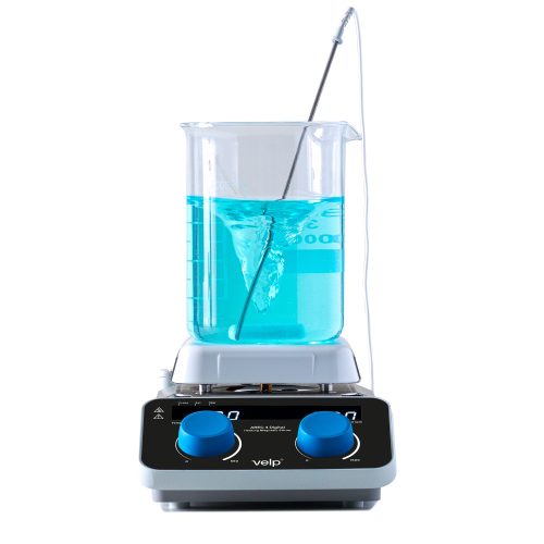 AREC4_digital_galleria_fronte_asta-328464-328484